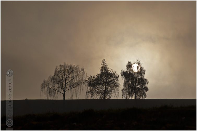 Foto Herbststimmung Grissenberg, Sonne, Landschaft